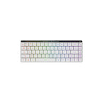 ASUS ROG Falchion 65% Trådlös RX Low Profile Red