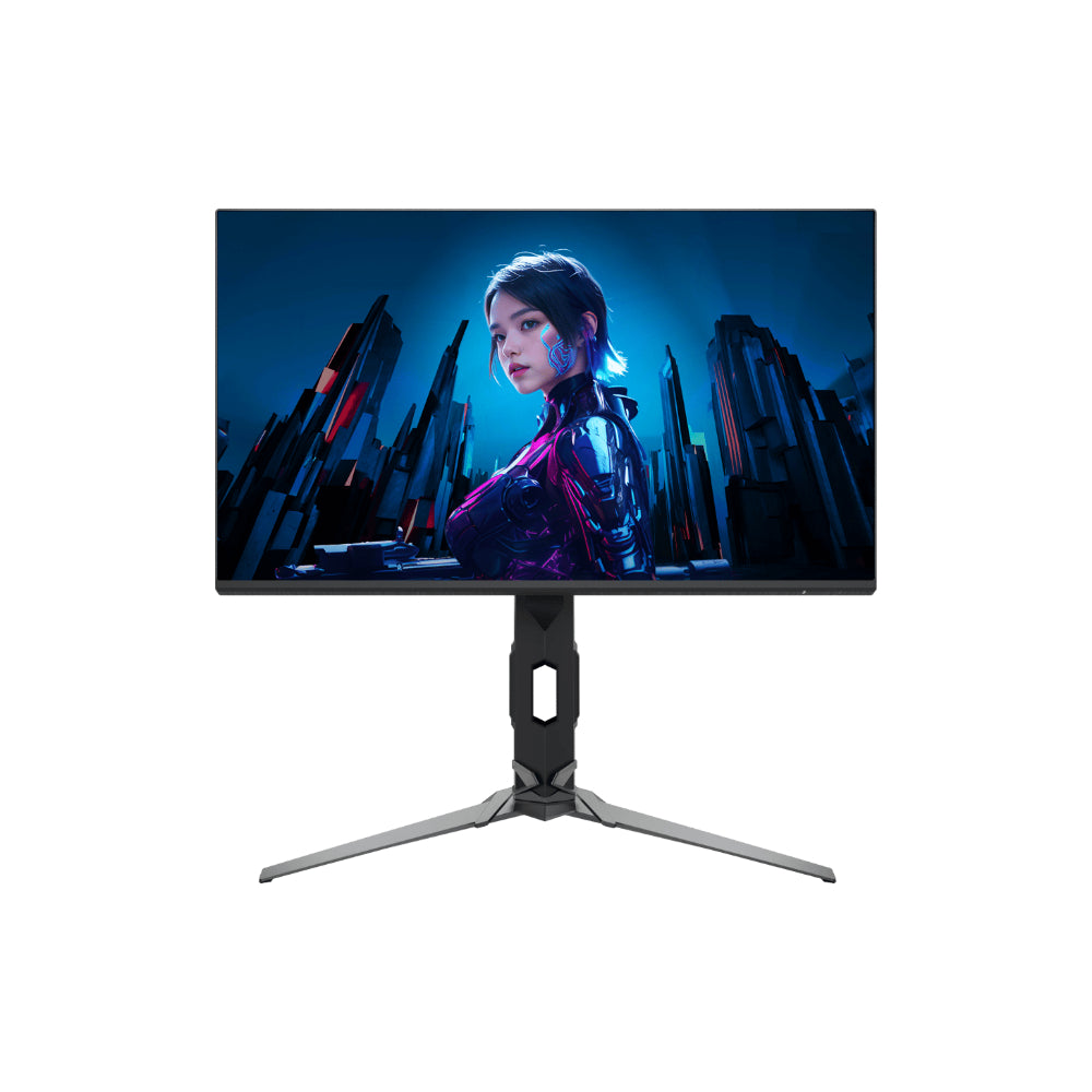 Acer Predator XB253Q Fbmiiprx 25" - 3840x2160 IPS 300Hz
