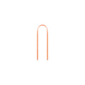 Apple Crossbody Strap - Orange