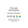 Google Workspace Business Enterprise - pris vid förfrågan