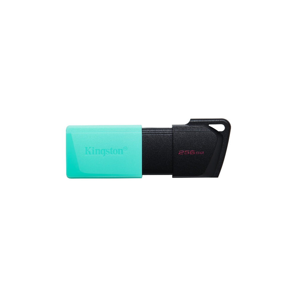 Kingston DataTraveler Exodia M 256GB