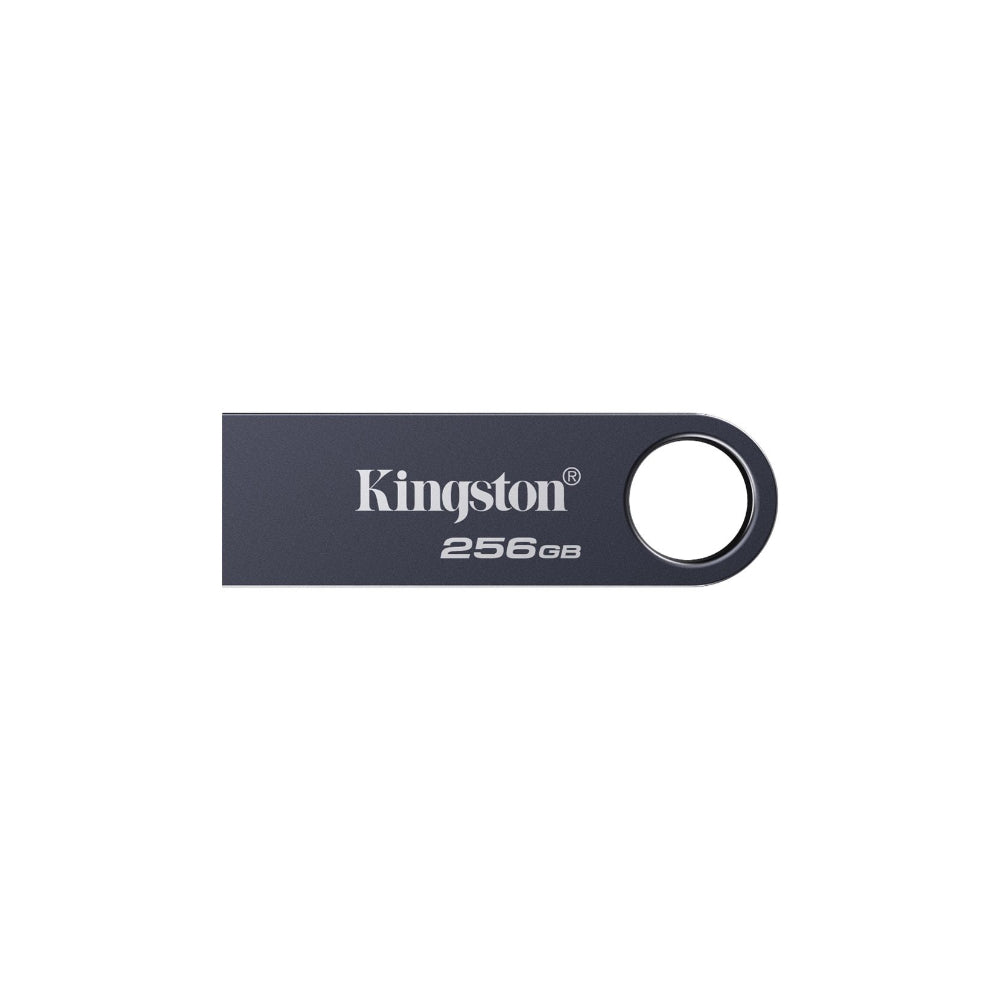 Kingston DataTraveler SE9 G3 256GB