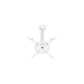 Multibrackets Projector Mount Ceilingmount Vit