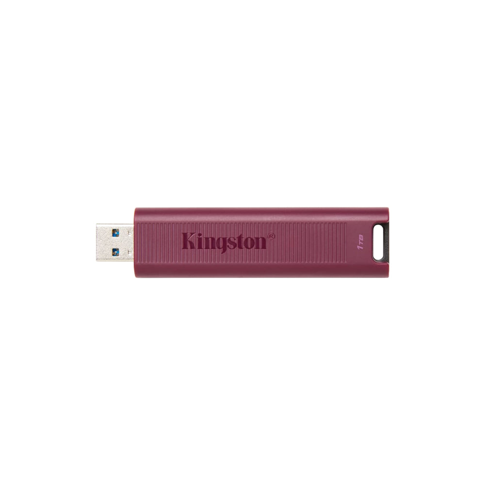 Kingston Data Traveler Max 1TB