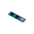OWC Aura N2 480GB