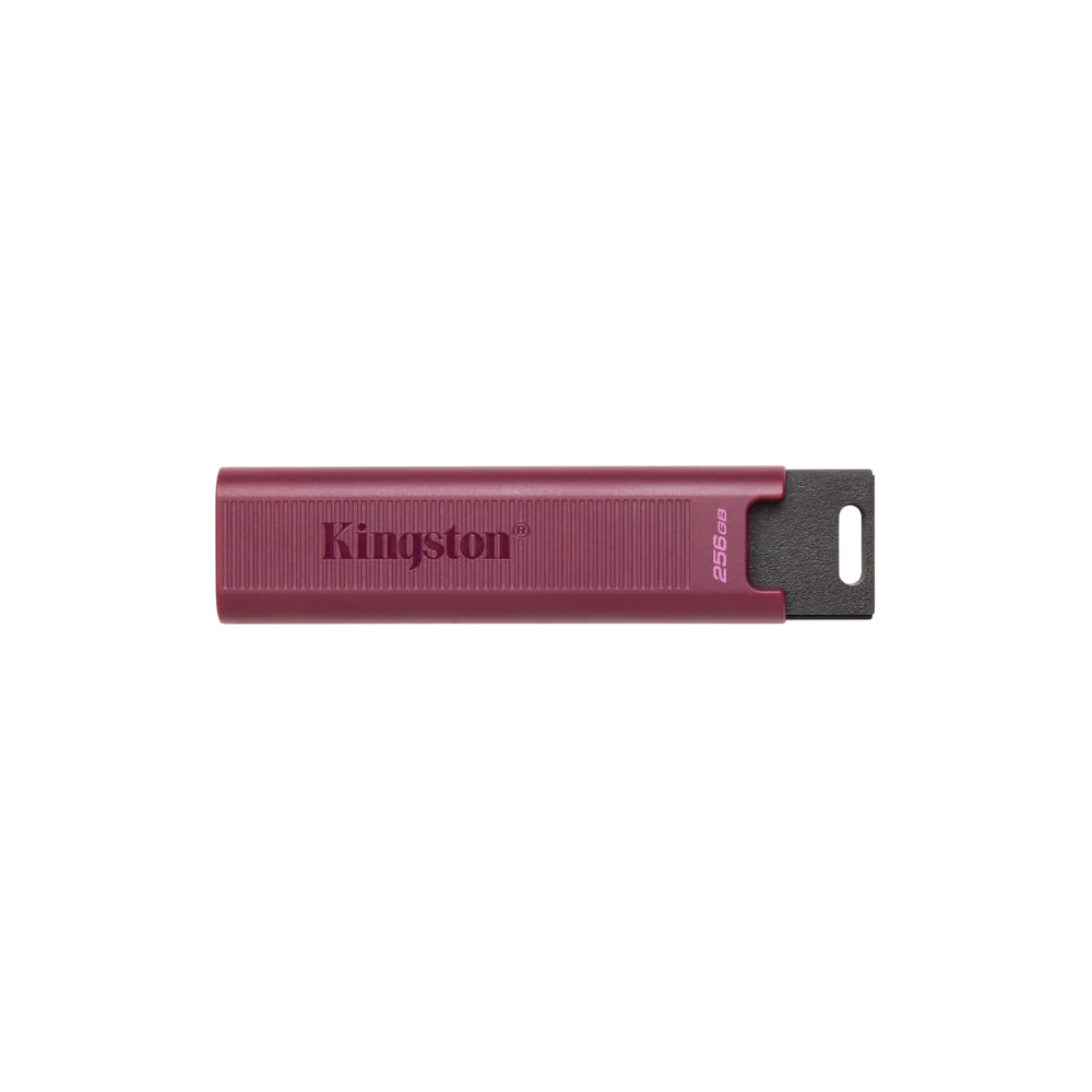 Kingston Data Traveler Max 256GB