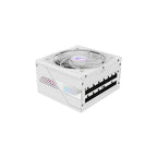 Gigabyte Aorus Elite AE1000PM PG5 ICE ATX 3.0 1000W 80 Plus Platinum