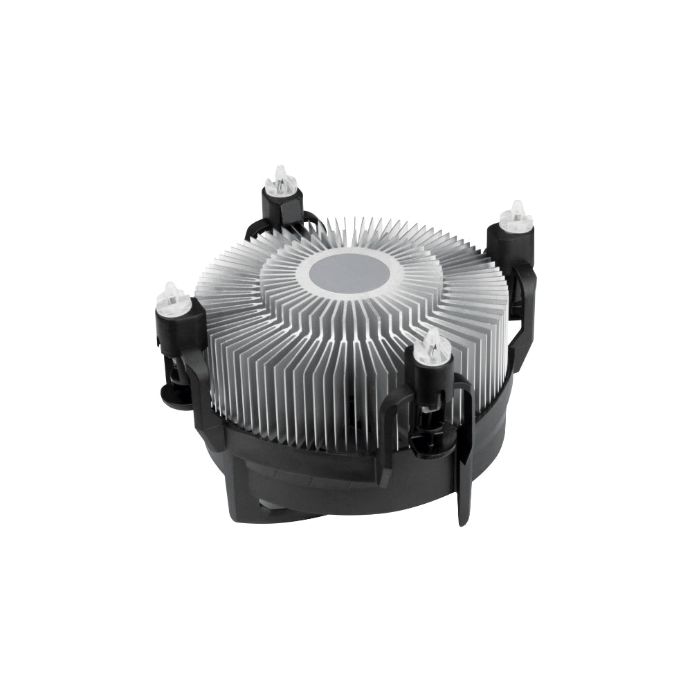 Arctic Alpine 17 92mm Svartvit
