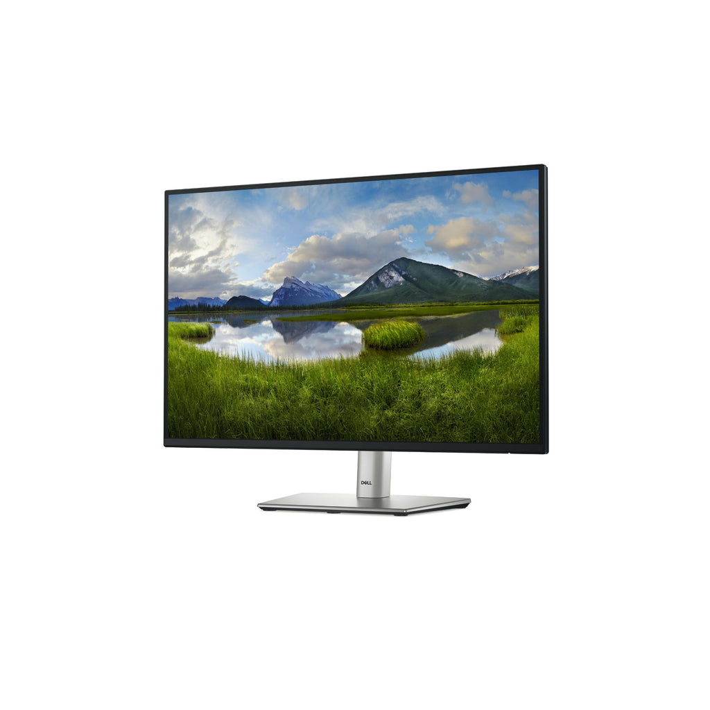 Dell P2425E 24” - USB-C 1920x1200 IPS 100Hz