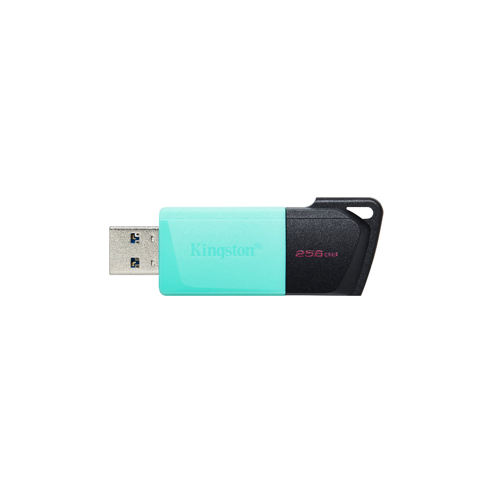Kingston DataTraveler Exodia M 256GB