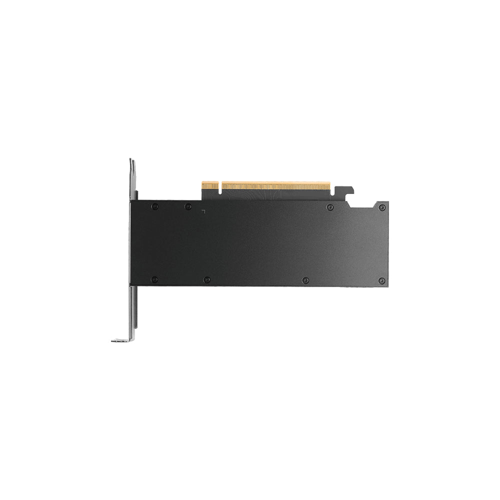 PNY RTX PRO 2000 Blackwell 16GB