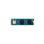 OWC Aura N2 480GB