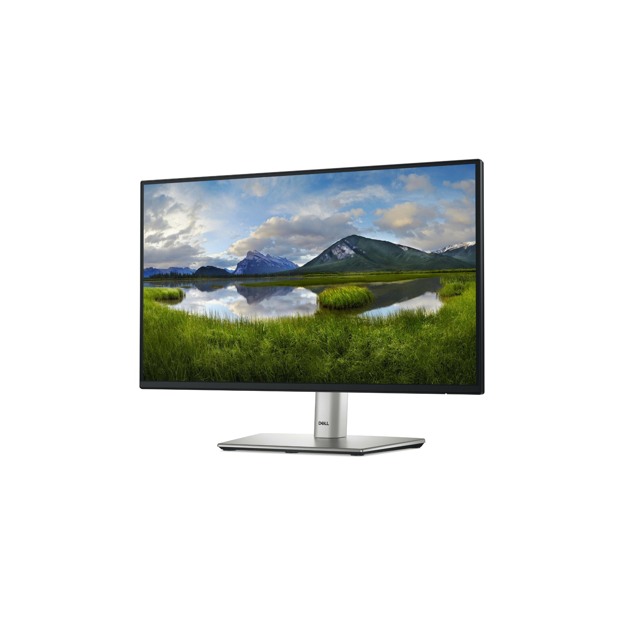 Dell P2225H 21.5” - 1920x1080 IPS 100Hz