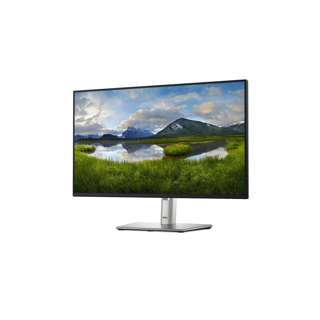 Dell P2425H 23.8” - 1920x1080 IPS 100Hz