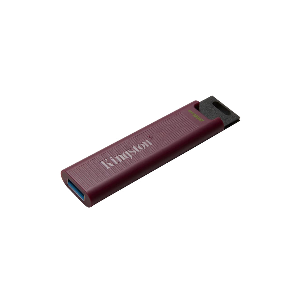 Kingston Data Traveler Max 256GB
