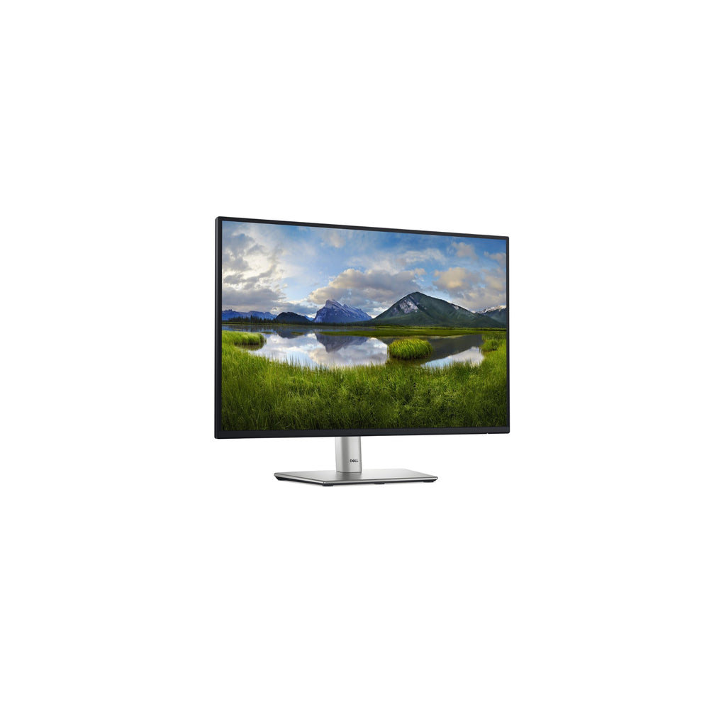 Dell P2425 24” - 1920x1200 IPS 100Hz