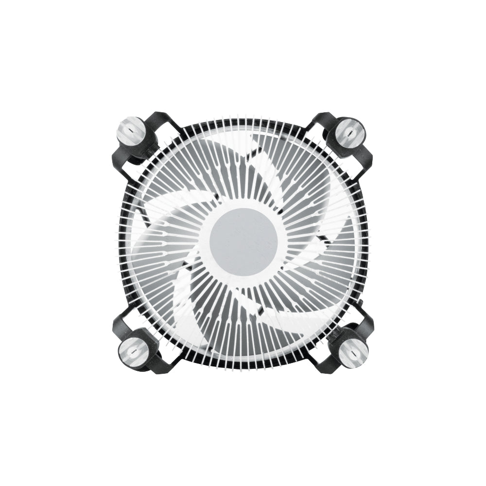 Arctic Alpine 17 92mm Svartvit