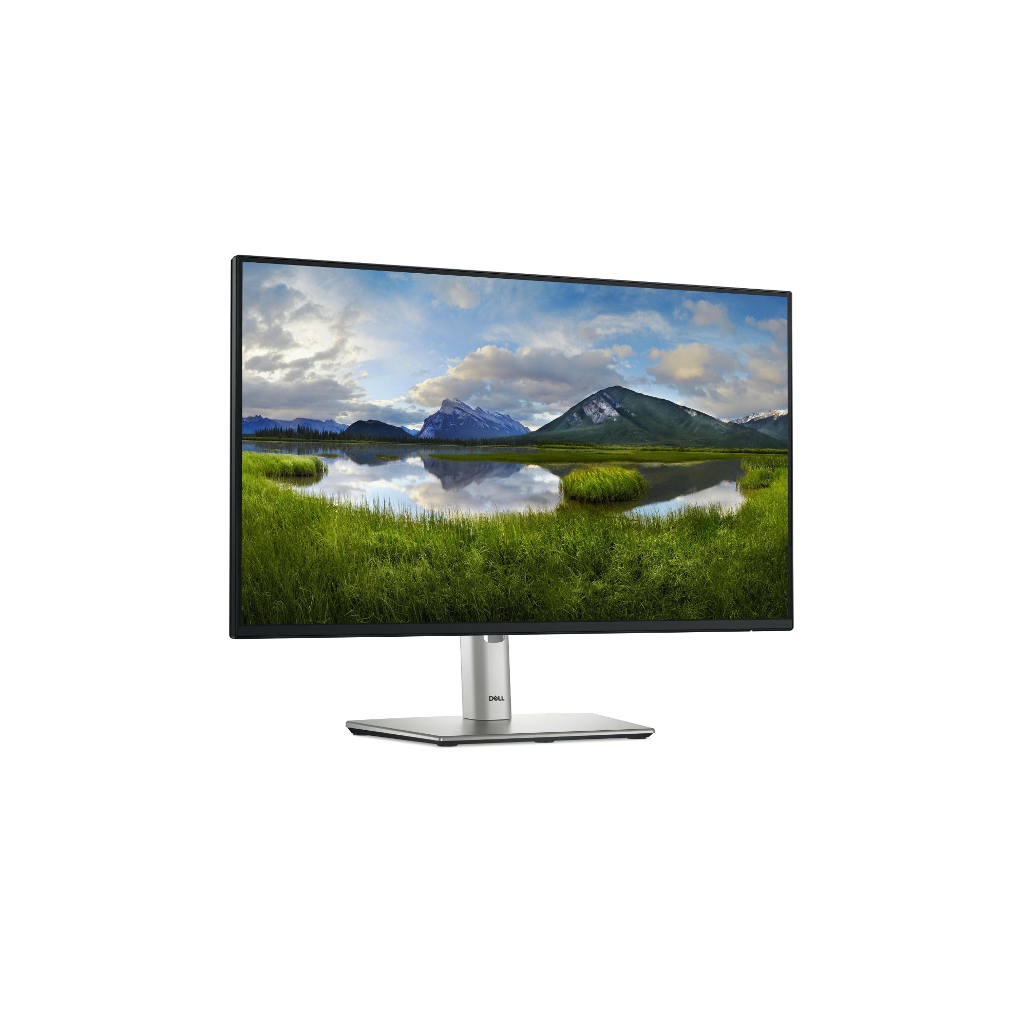 Dell P2425H 23.8” - 1920x1080 IPS 100Hz