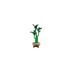 LEGO Botanicals 10344 Bambudracena