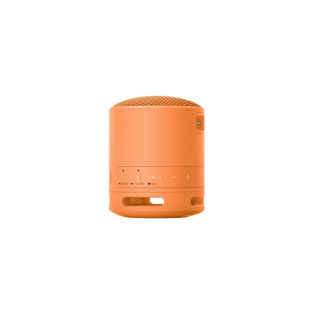 Sony SRSXB100D Orange