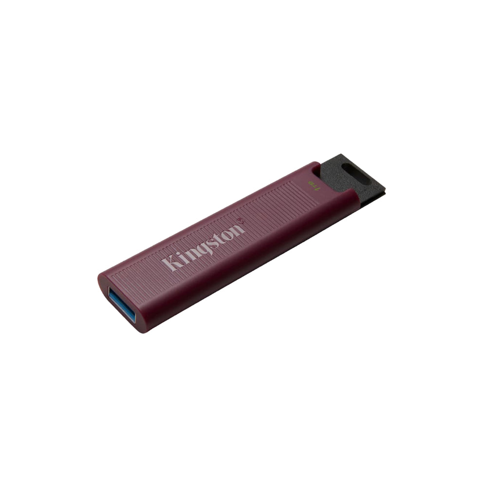 Kingston Data Traveler Max 1TB