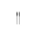 Belkin Skrivarkabel USB-A Till USB-B - 4.8M
