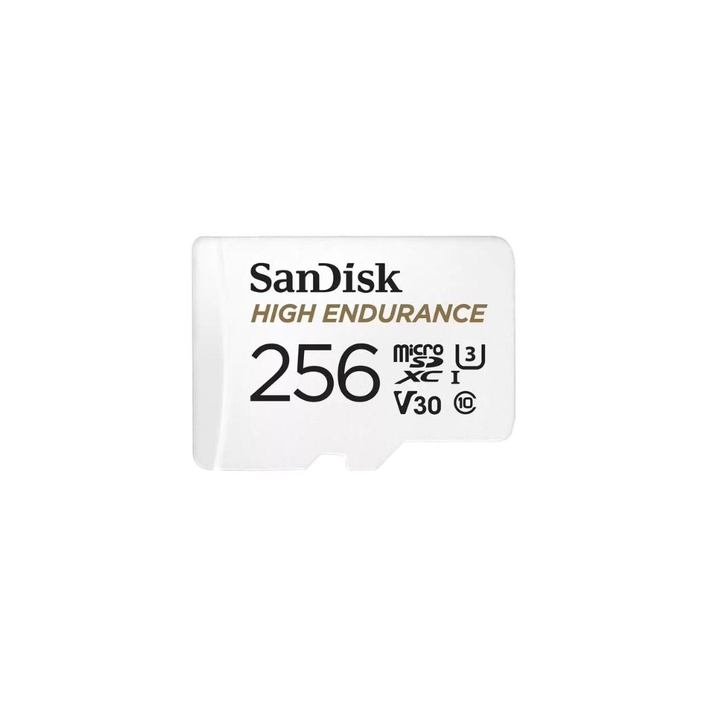 SanDisk High Endurance
