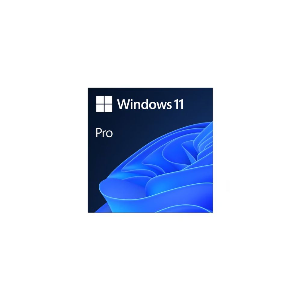 Windows 11 Pro