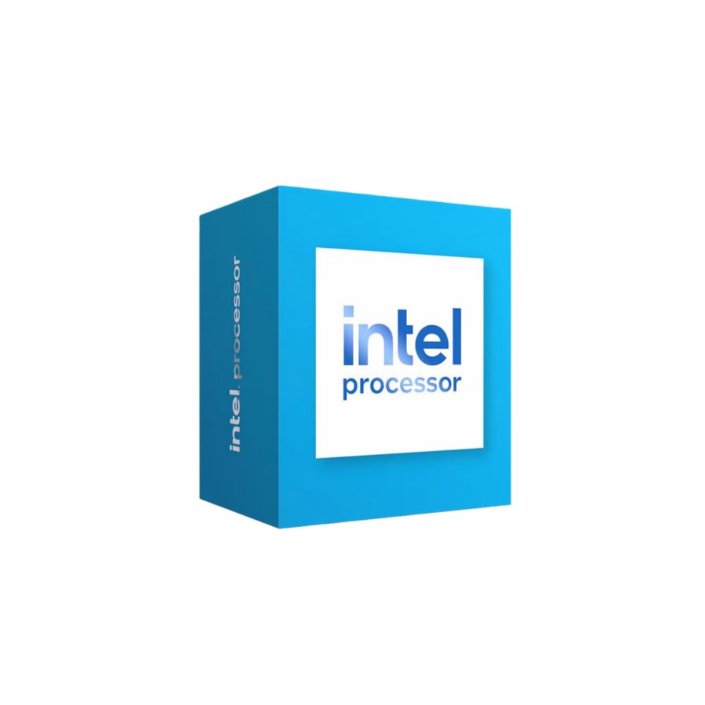 Intel Processor 300 - Box