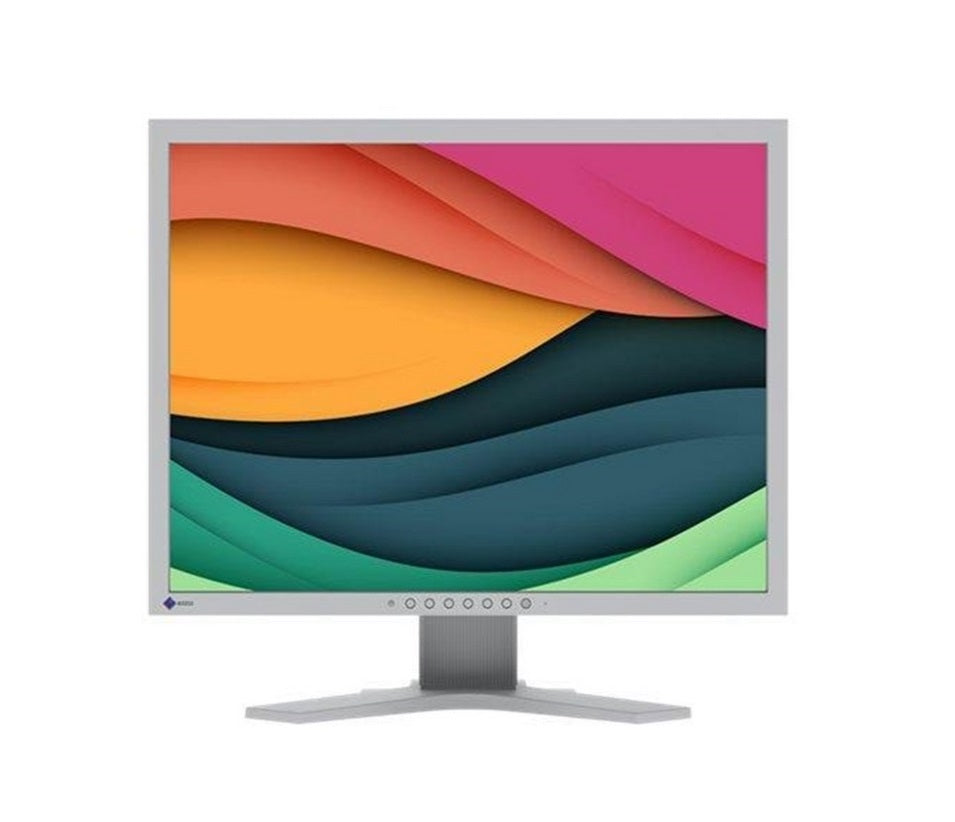 Eizo FlexScan S2134-GY 21" - 1600x1200 - IPS - 60Hz