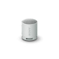 Sony SRSXB100 - Grå