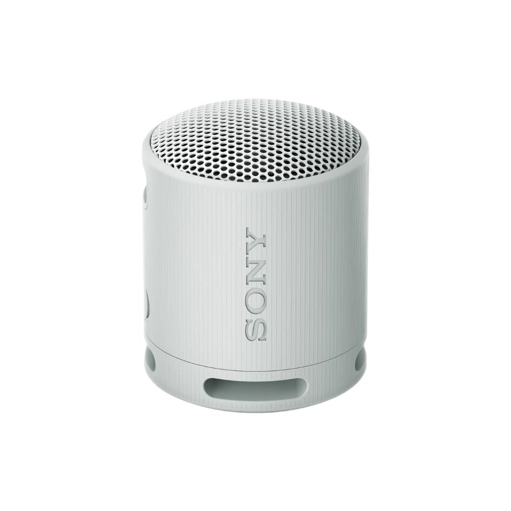 Sony SRSXB100H.CE7 - Grå