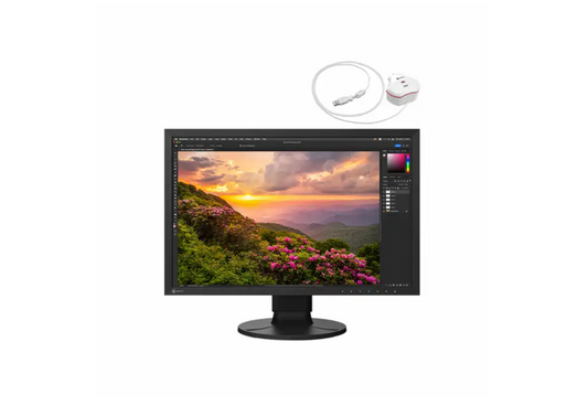 Eizo ColorEdge CS2400SCAL 24" - 1920x1200 - IPS - 60Hz