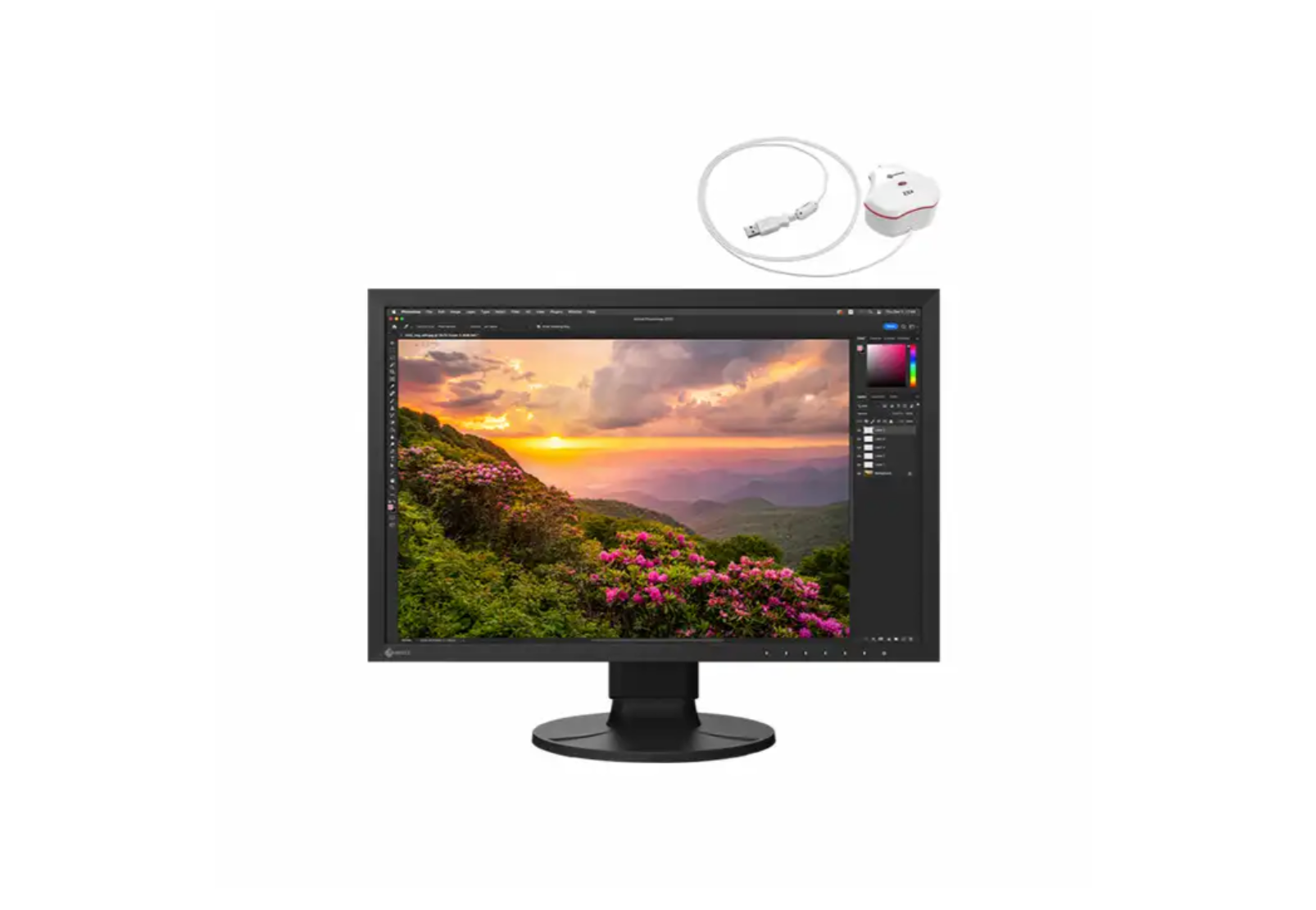 Eizo ColorEdge CS2400SCAL 24" - 1920x1200 - IPS - 60Hz