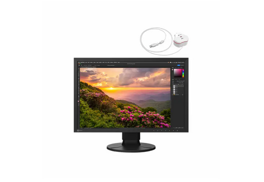 Eizo ColorEdge CS2400SCAL 24" - 1920x1200 - IPS - 16:9 - 60Hz