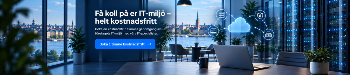 Kostnadsfri genomgång av er IT